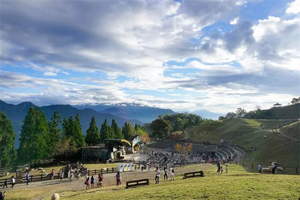 苗栗縣飛牛牧場：牛到飛起的休閑農(nóng)業(yè)牧場