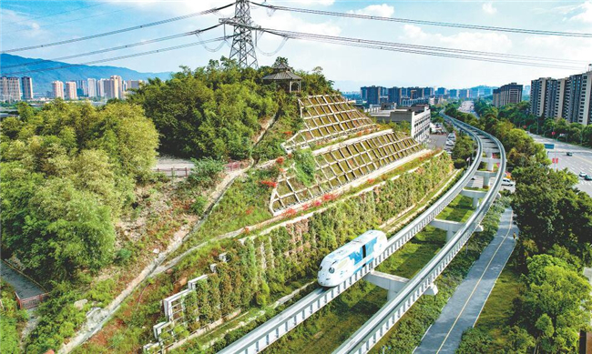 重慶推進科學綠化試點示范市建設