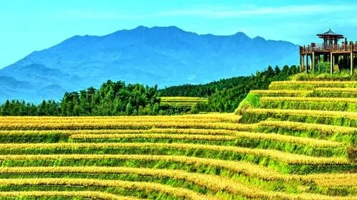 中華傳統(tǒng)農(nóng)耕蘊(yùn)含哪些低碳智慧？