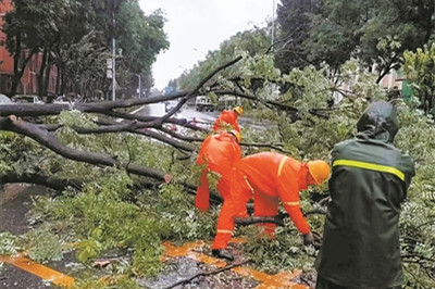 北京市園林綠化局有力應對強降雨天氣