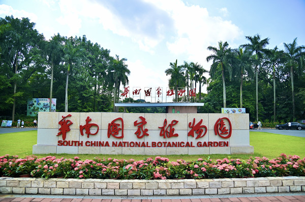 華南國家植物園:科研成果亮眼,城園融合加速