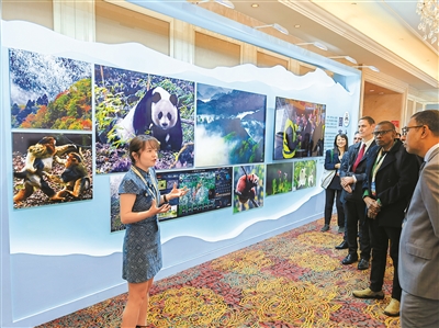 5個(gè)主題展亮相第二屆國家公園論壇