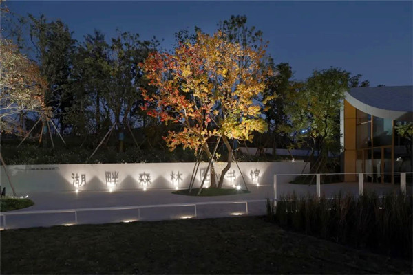 園冶杯參賽作品丨興隆湖湖畔森林圖書館