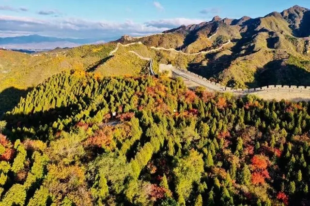 八達(dá)嶺國(guó)家森林公園紅葉節(jié)開幕