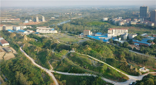 園冶杯參賽作品丨嘉魚縣濱江生態(tài)提升