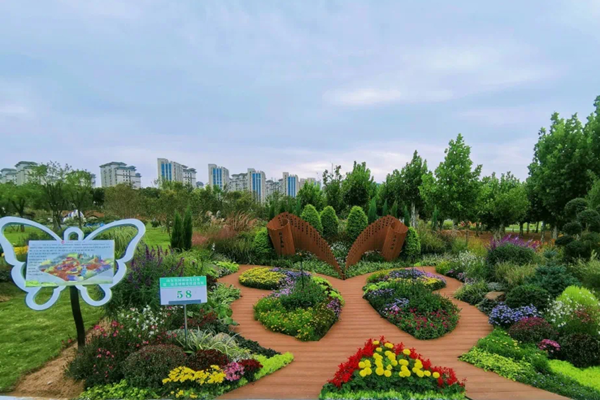 花境如何融合主題理念與園林藝術?