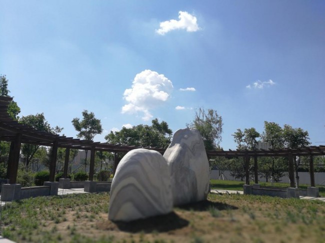 河北:定州城管匠心打造綠色園林之城