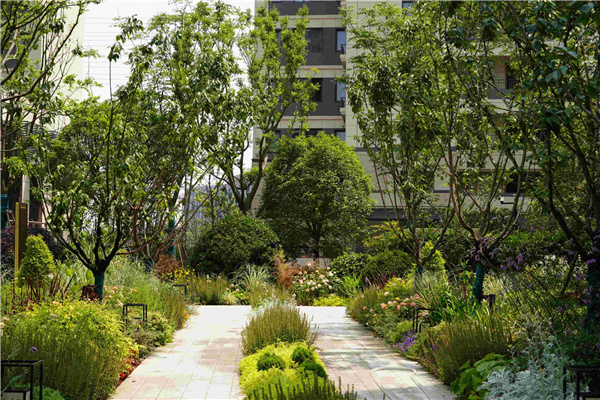 園冶杯參賽作品丨上海南山虹橋領(lǐng)峯花境