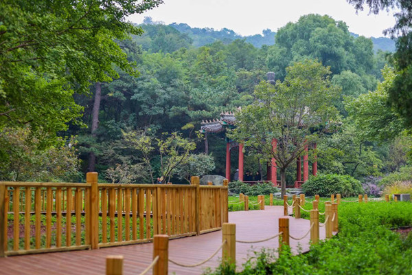 北京香山公園設立首個古樹保護示范區