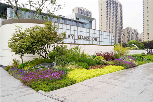 園冶杯參賽作品丨吳江項目展示區(qū)花境