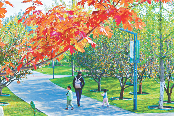 全國首個碳循環公園落地北京城市副中心