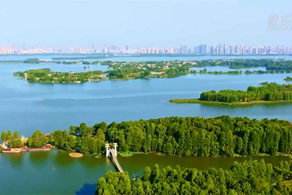 我國濕地工作進入依法全面保護新階段