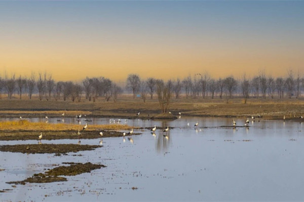 我國(guó)新增29處國(guó)家重要濕地