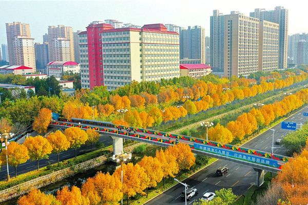 河北衡水建一湖三區綠廊,綠出高顏值美出高品質