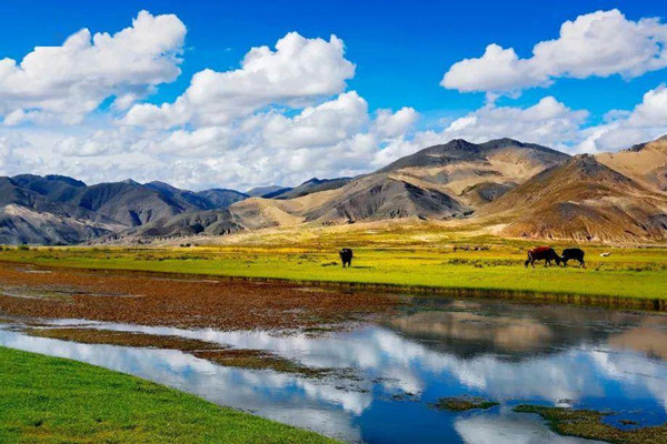 全國(guó)政協(xié)委員熱議高質(zhì)量推進(jìn)國(guó)家公園建設(shè)