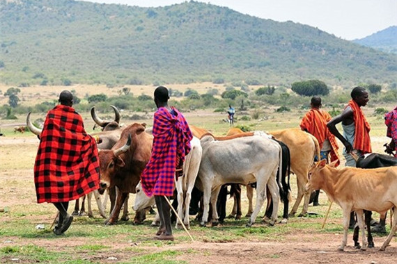 鄭曦：文化景觀的特征