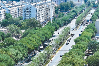 長(zhǎng)安街以北“兩縱兩橫”林蔭大道將亮相