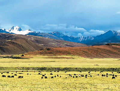 四川理塘:讓更多游客走進(jìn)“天空之城”