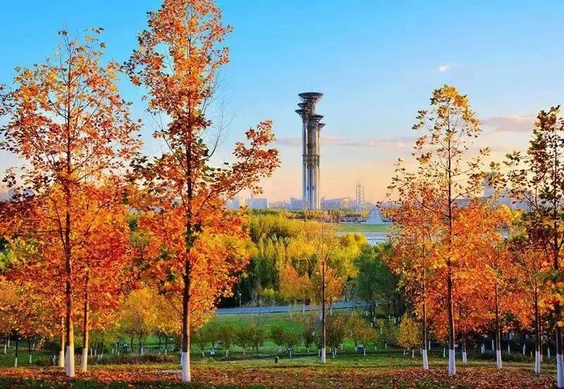 北京市園林局局長：今年打造百條“城市畫廊”