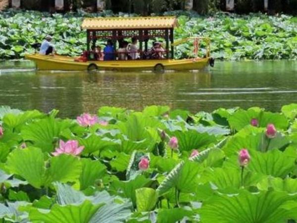 北京:超九成市民將享受“出門見綠”