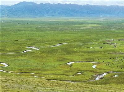 2023年草原草業(yè)熱點新聞盤點