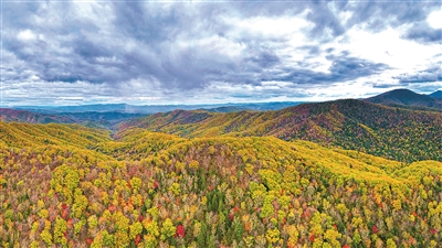 兩會(huì)代表委員共話國(guó)家公園建設(shè)