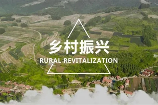 代表委員熱議有力有效推進(jìn)鄉(xiāng)村全面振興