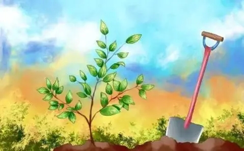 關于全民義務植樹,你知道嗎?