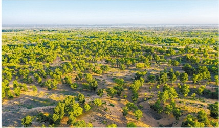 全國綠化委發布《2023年中國國土綠化狀況公報》