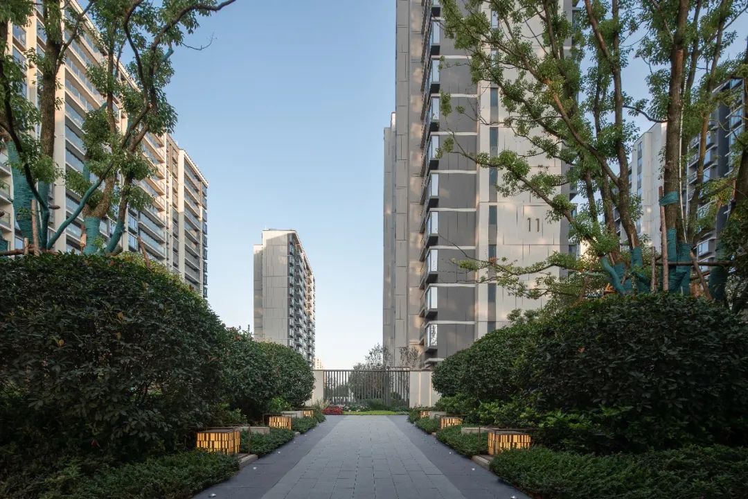 園冶杯金獎作品丨南昌中糧·建發祥云悅府