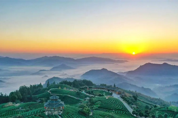 在氣候行動最前線直面挑戰共筑未來