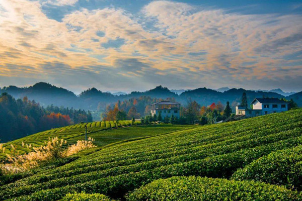 “山水工程”完成修復(fù)治理面積超一億畝