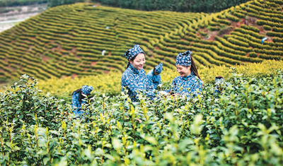 滿足游客品質(zhì)化個性化需求 定制游市場正升溫