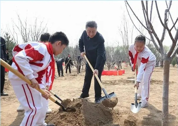從“三綠”“四庫”看總書記綠化觀