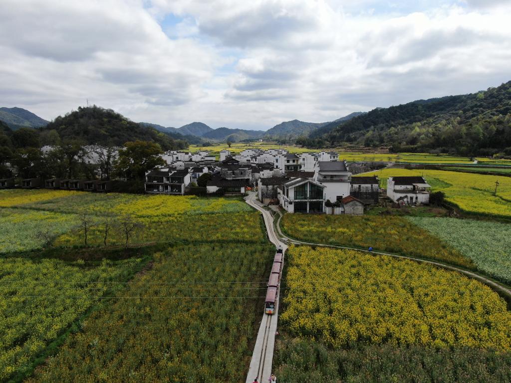 踏春賞花成為亮眼增長點 今春文旅消費活力足