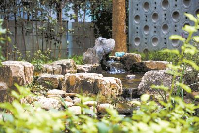 上海長寧生境花園成“全球典型”