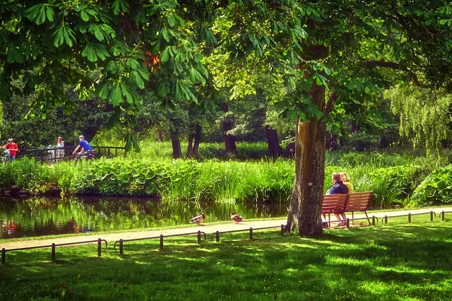 “公園20分鐘”為何治愈?
