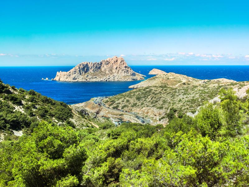 公園能玩出什么“花樣經”?