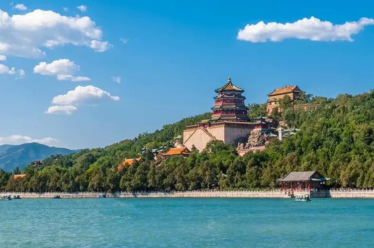 頤和園天壇動物園如何成“頂流”？