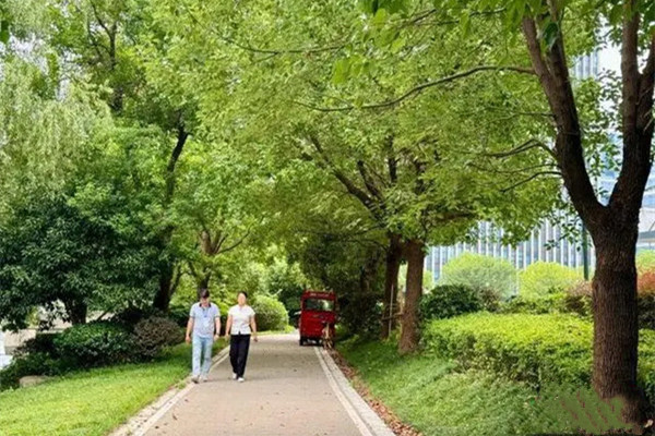 “公園20分鐘”火爆盛夏 年輕人被大自然治愈