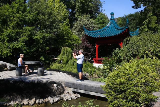 這些年輕人在海外建起中式園林