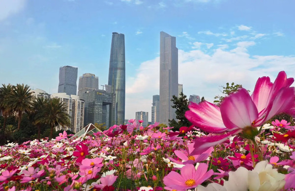 廣州打造國際一流花卉產(chǎn)業(yè)高地