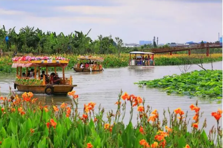 廣東:濕地公園活動不斷上線 濕地旅游持續升溫