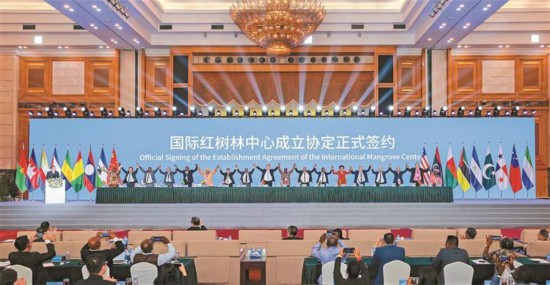 國際紅樹林中心在深圳揭牌