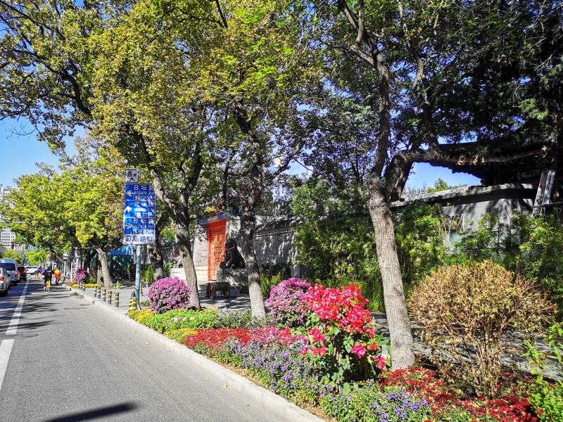 朝陽區打造北京市首個花園式示范街區