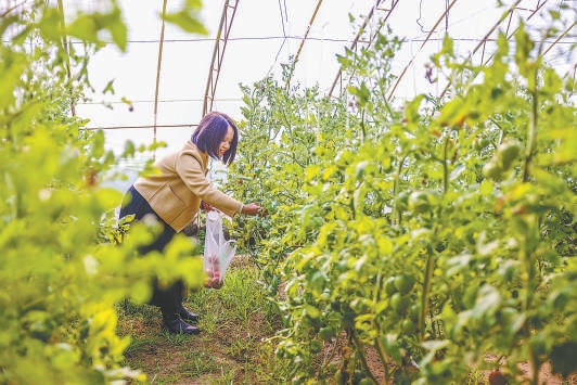在京南小村邂逅“田園牧歌”