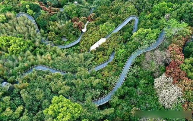 云端漫步 一步一景——高空景觀步道建設(shè)觀察