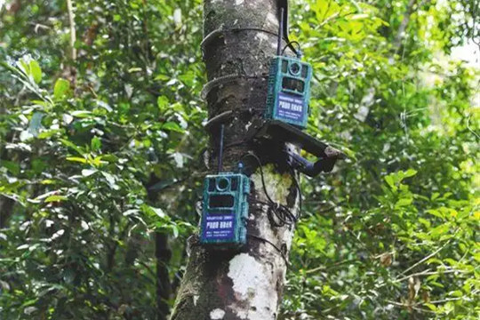 楊銳：科技賦能國家公園高質量建設