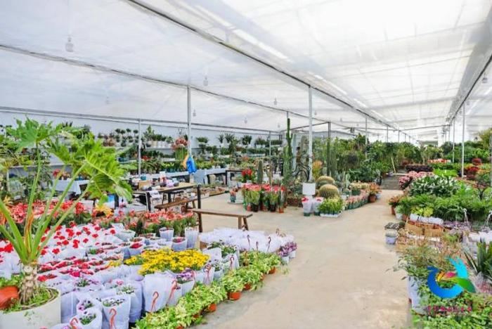 2025中國（蕭山）花木節新聞發布會召開