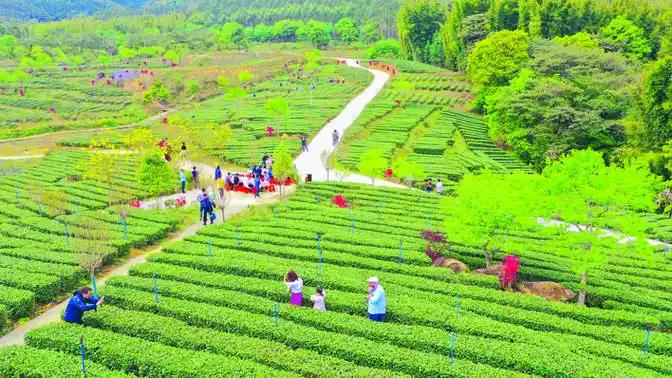 以農文旅深度融合大力提振消費